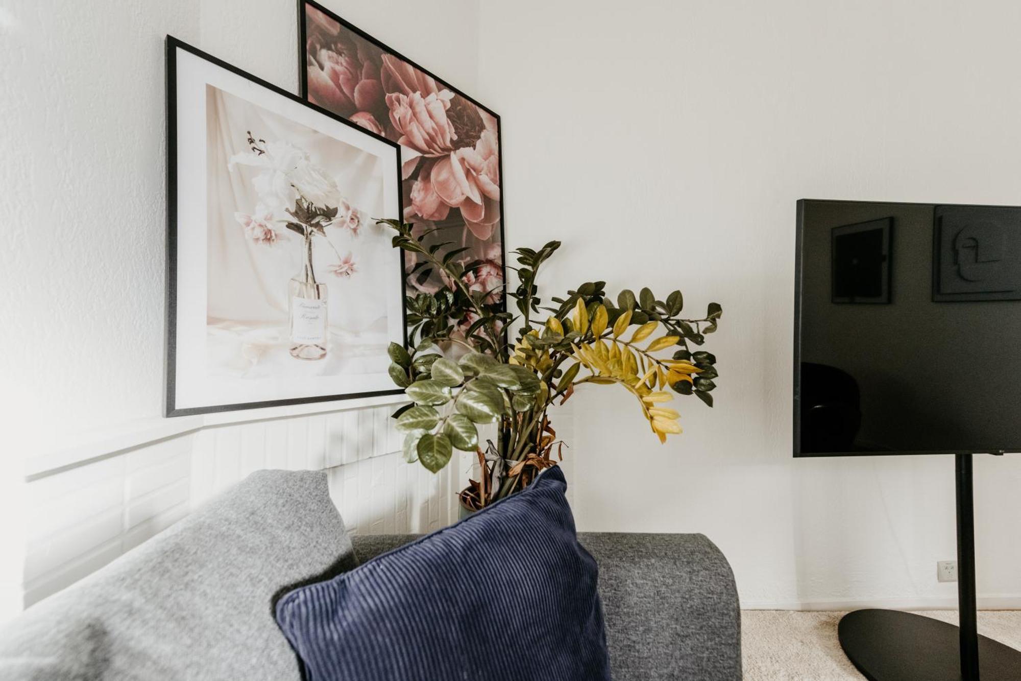 Cathedral View Apartment Anversa Esterno foto